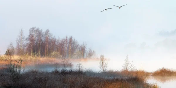 Ruud Engels | Photography | Mistige Zonsopkomst Groot Kolkven