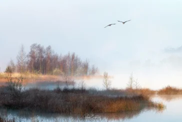 Ruud Engels | Photography | Mistige Zonsopkomst Groot Kolkven | Lente Wandeling